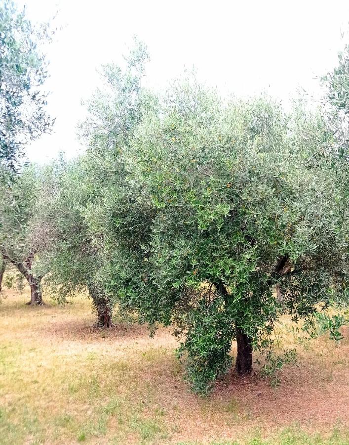 Tenuta Bardi Villa Baldassarri Buitenkant foto